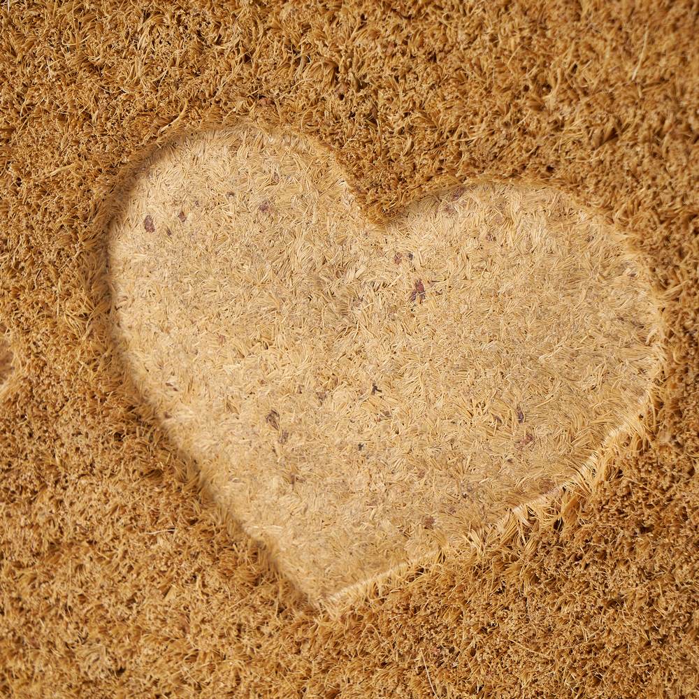 Felpudo Home antideslizante marrón de 60x40 cm.