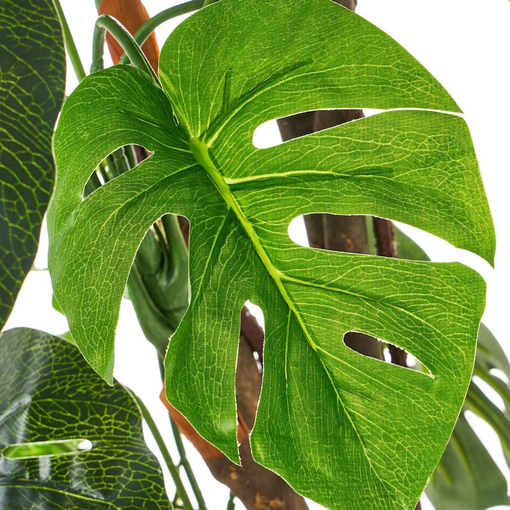 Planta artificial monstera verde en maceta plástico 170 cm