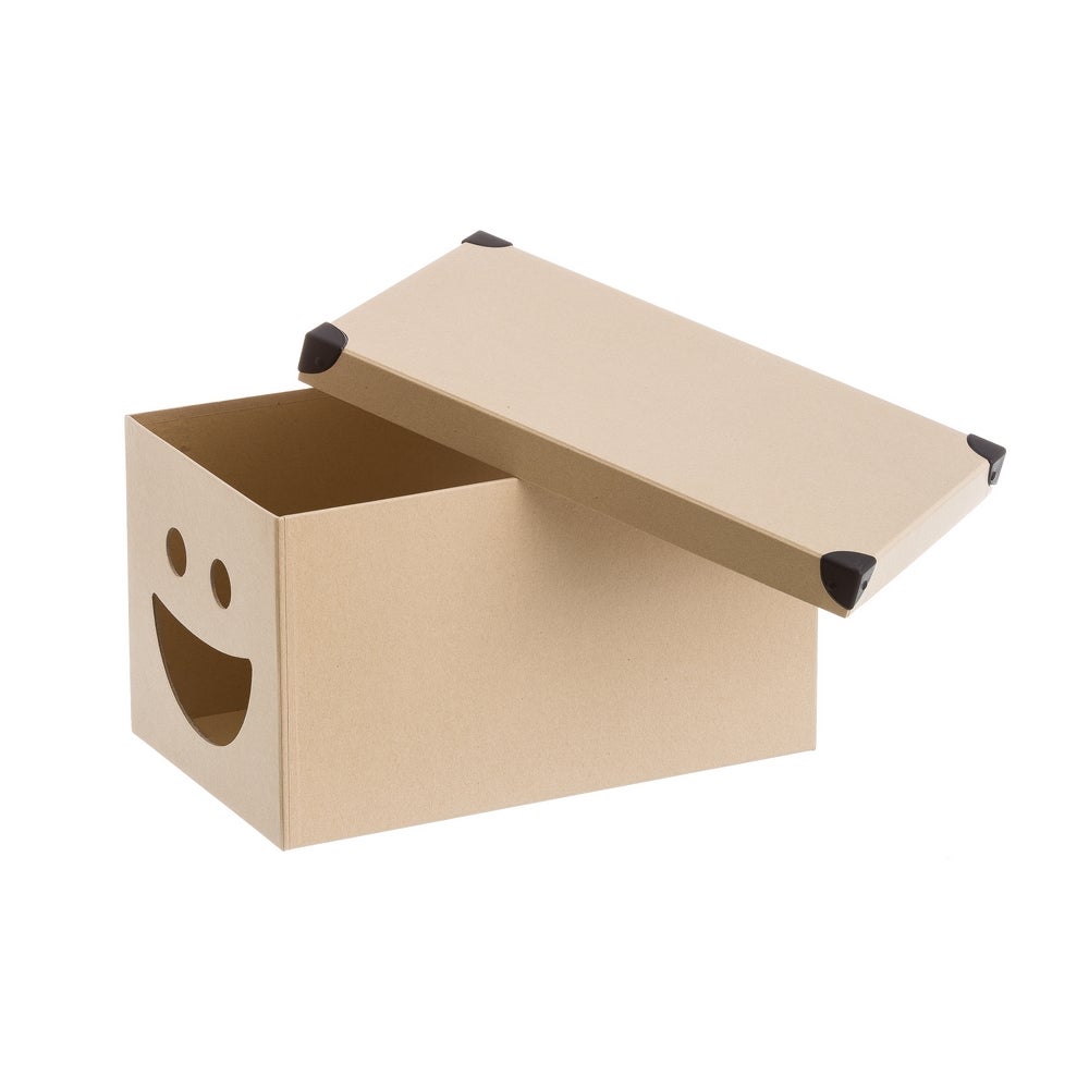 Set de 10 cajas de cartón marrones