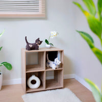 Set de 2 topes de puerta Gatos