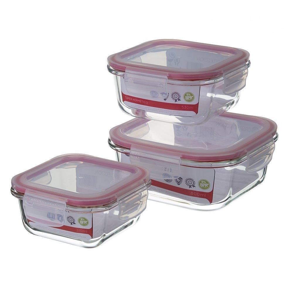 Set de 2 fiambreras de 530 ml