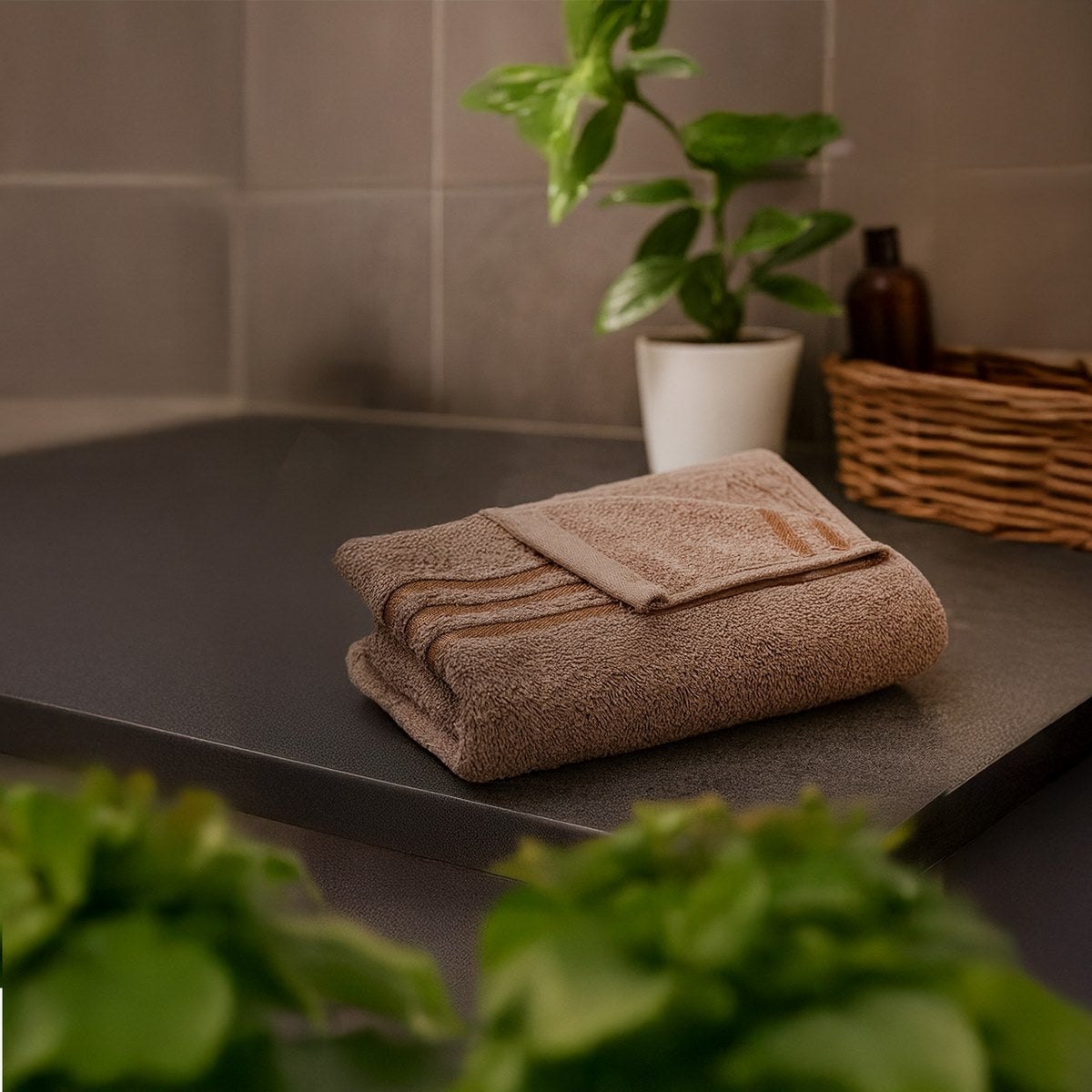 Set 12 Toallas Mano 100x50cm 100% Algodón 450g Marrón