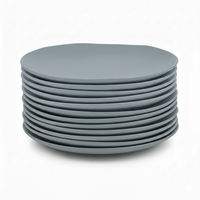 Juego de 12 platos llanos de melamina azul de 28 cm