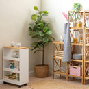 Carro estantería con ruedas de 48x24x77 cm