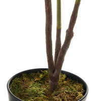 Ficus artificial de 75 cm