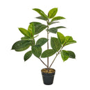 Ficus artificial de 75 cm