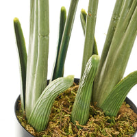 Palmera artificial de 114 cm