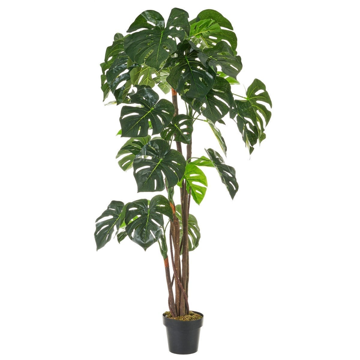 Planta artificial monstera verde en maceta plástico 170 cm
