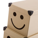 Set de 10 cajas de cartón marrones