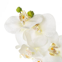 Orquídea artificial blanca