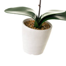 Orquídea artificial blanca