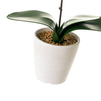 Orquídea artificial blanca