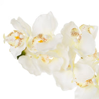 Orquídea artificial blanca