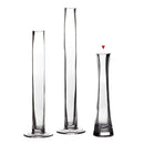 Jarrón de cristal transparente