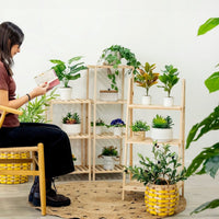 Estantería de madera de abeto de 100 cm