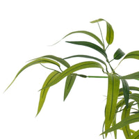 Planta artificial de bambú verde en maceta plástico 120 cm