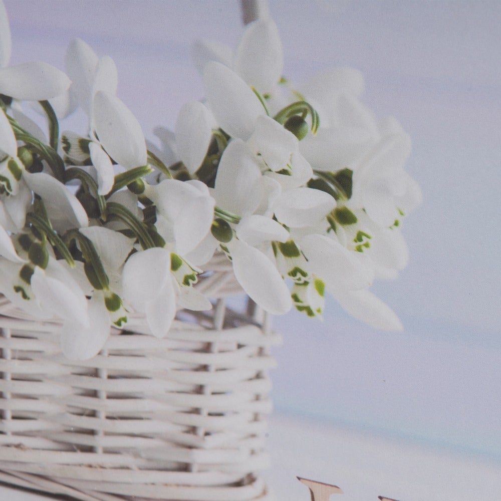 Tapa contador con fotografía de Cesta y Flores