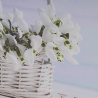 Tapa contador con fotografía de Cesta y Flores