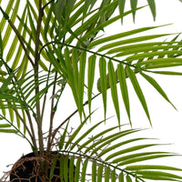 Palmera artificial de 90 cm