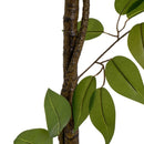 Ficus artificial de 150 cm